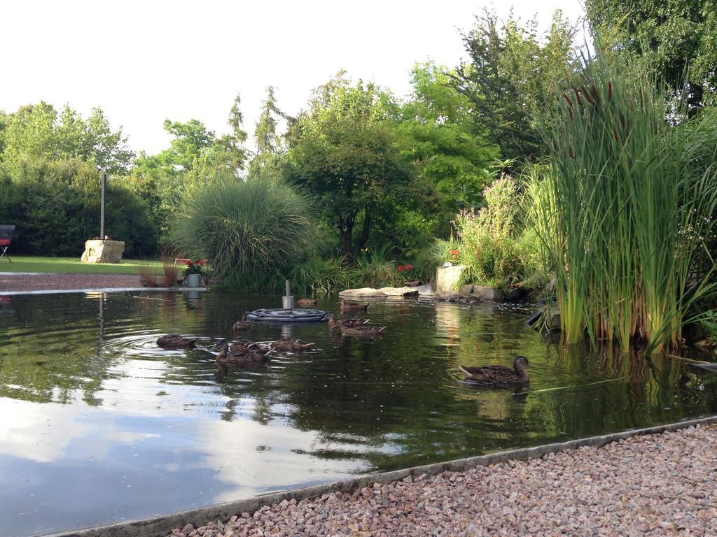 Solrosen I Simrishamn - Oesterlen Kültér fotó